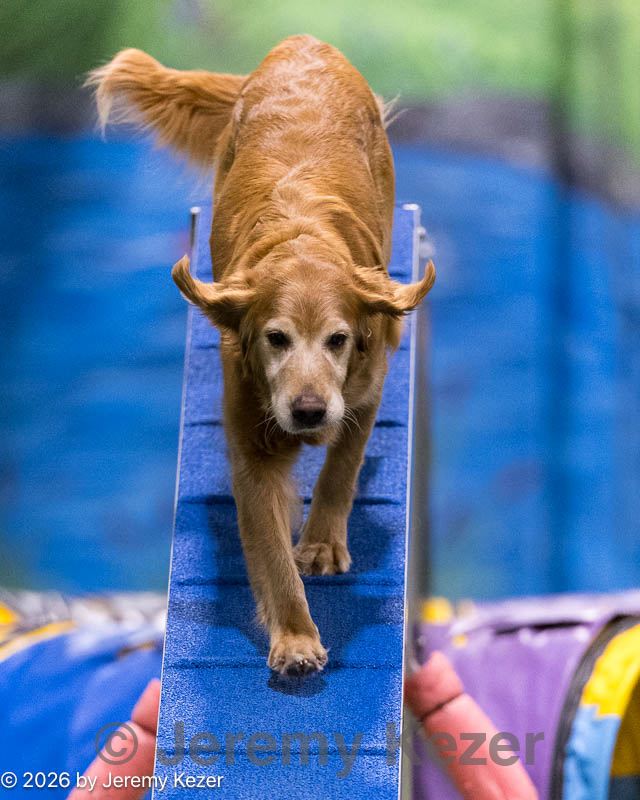 20260221-0704.jpg