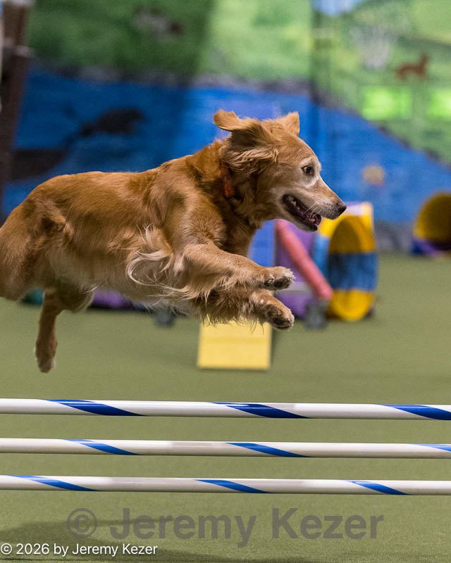 20260221-0707.jpg
