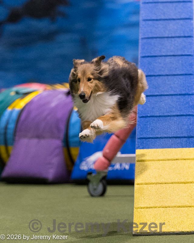 20260221-0733.jpg