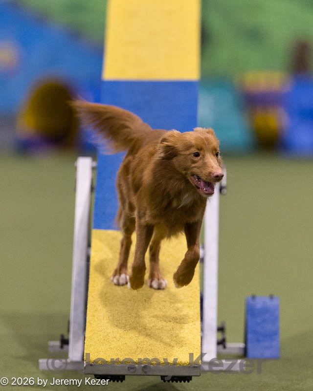 20260221-0737.jpg