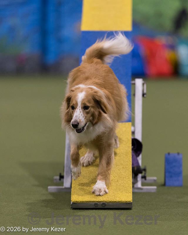20260221-0818.jpg