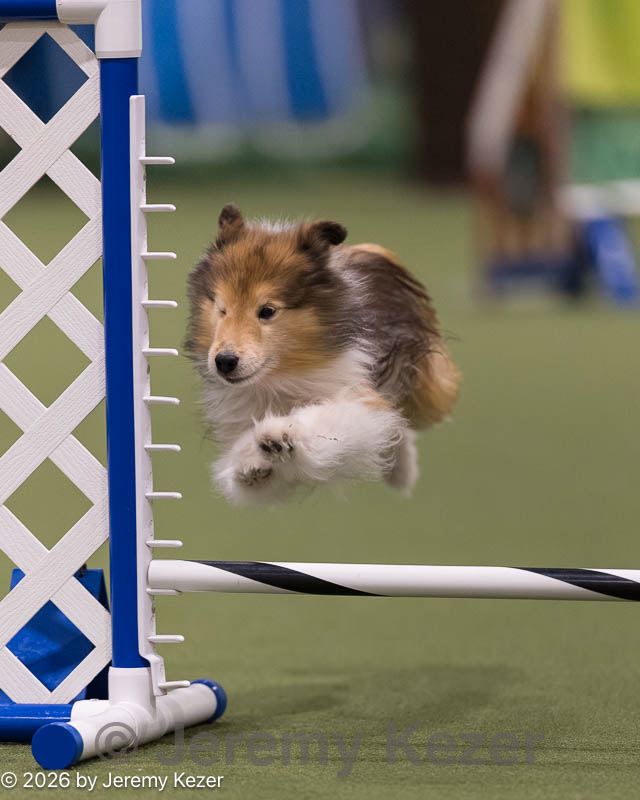 20260221-0007.jpg