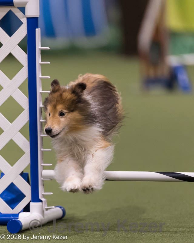 20260221-0008.jpg