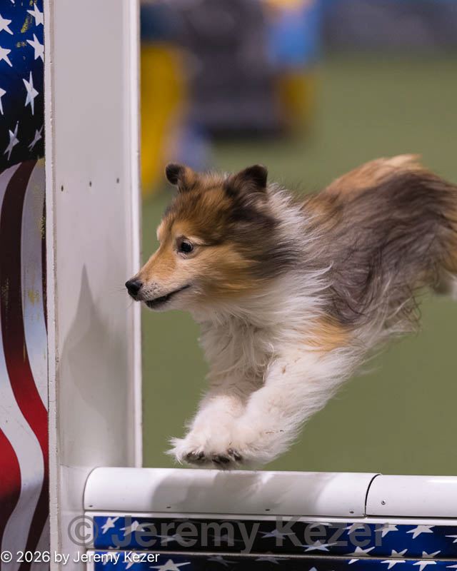 20260221-0012.jpg