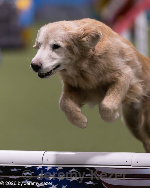 20260221-0013.jpg