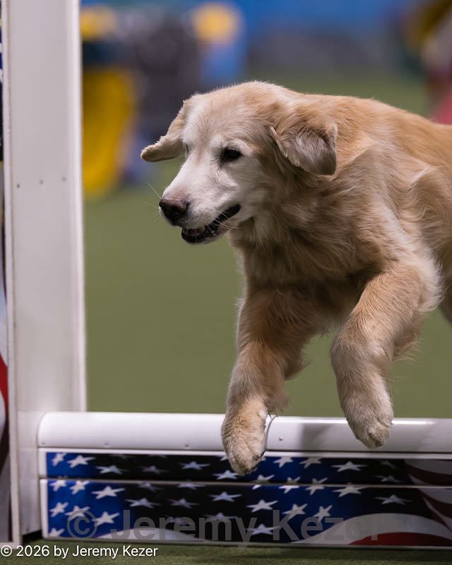 20260221-0014.jpg