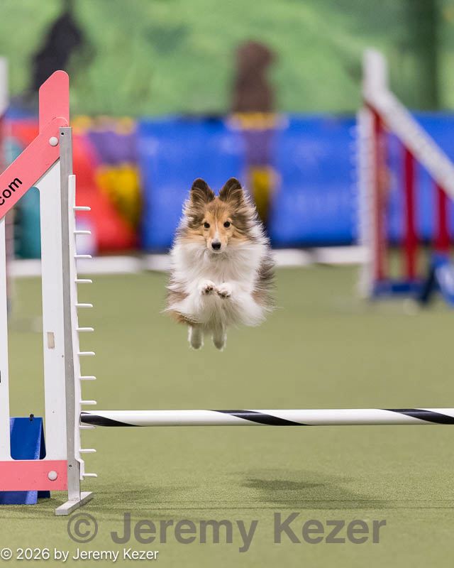 20260221-0037.jpg