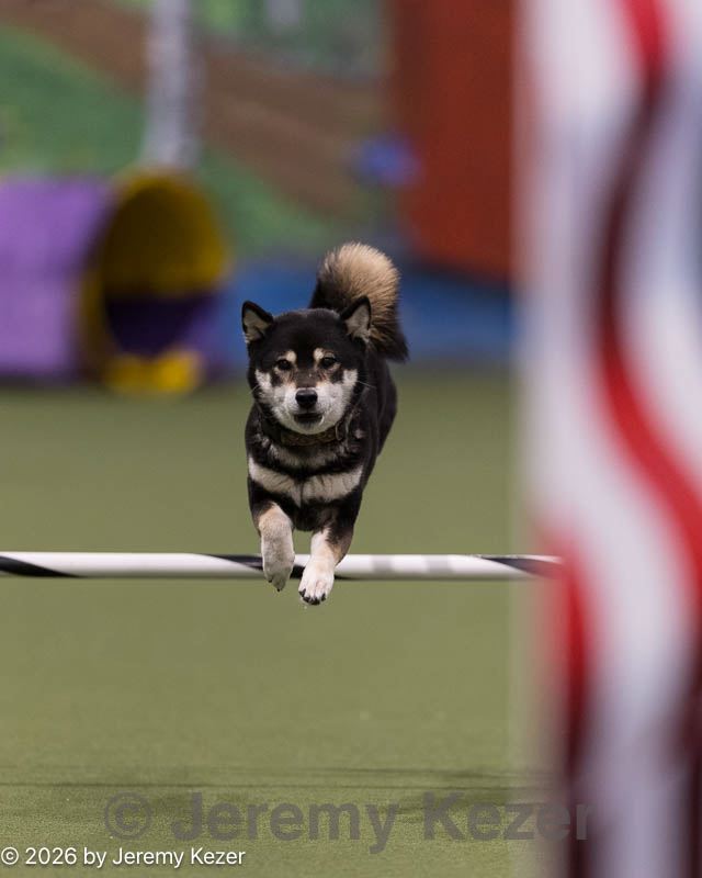 20260221-0050.jpg