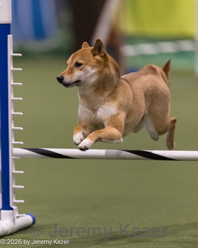 20260221-0054.jpg