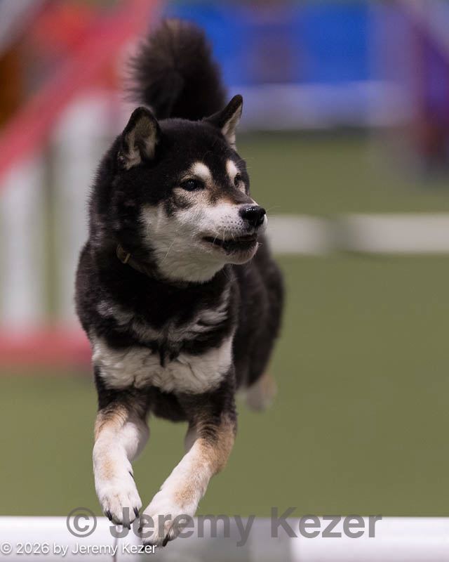 20260221-0058.jpg