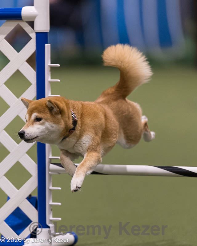 20260221-0064.jpg