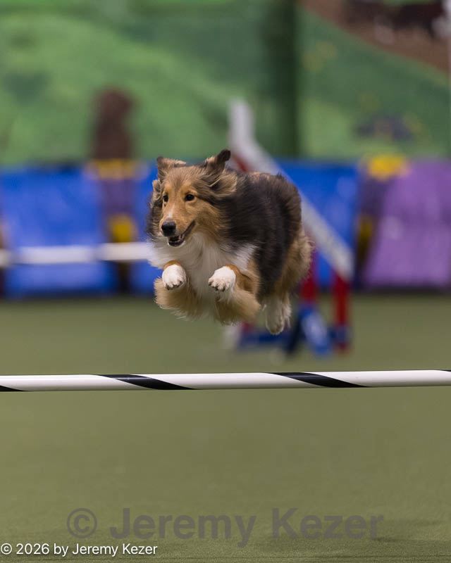 20260221-0084.jpg