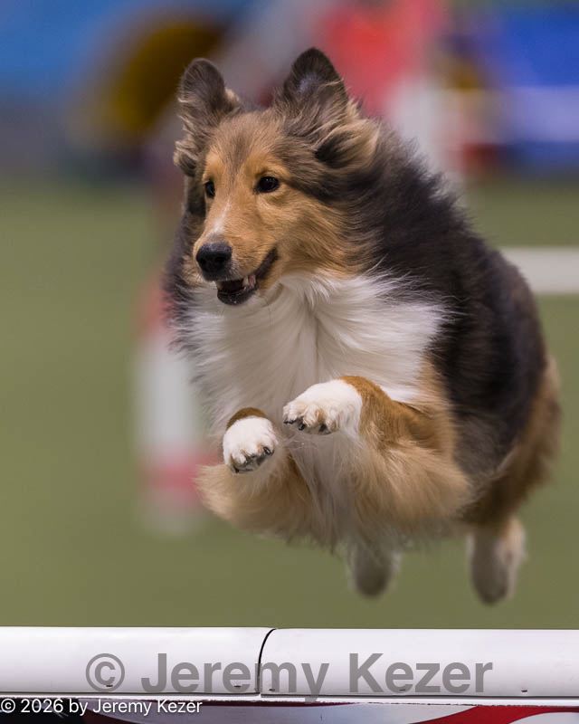 20260221-0086.jpg