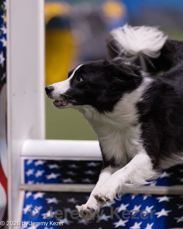 20260221-0095.jpg