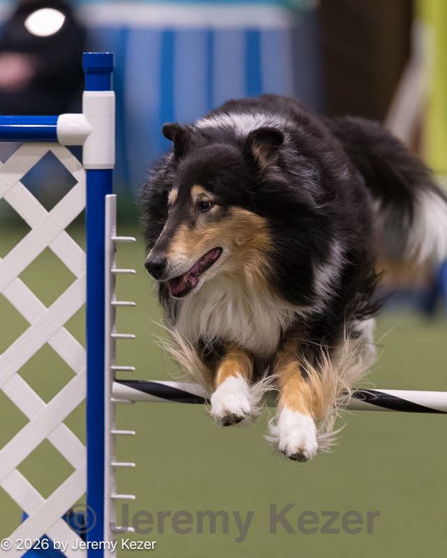 20260221-0101.jpg