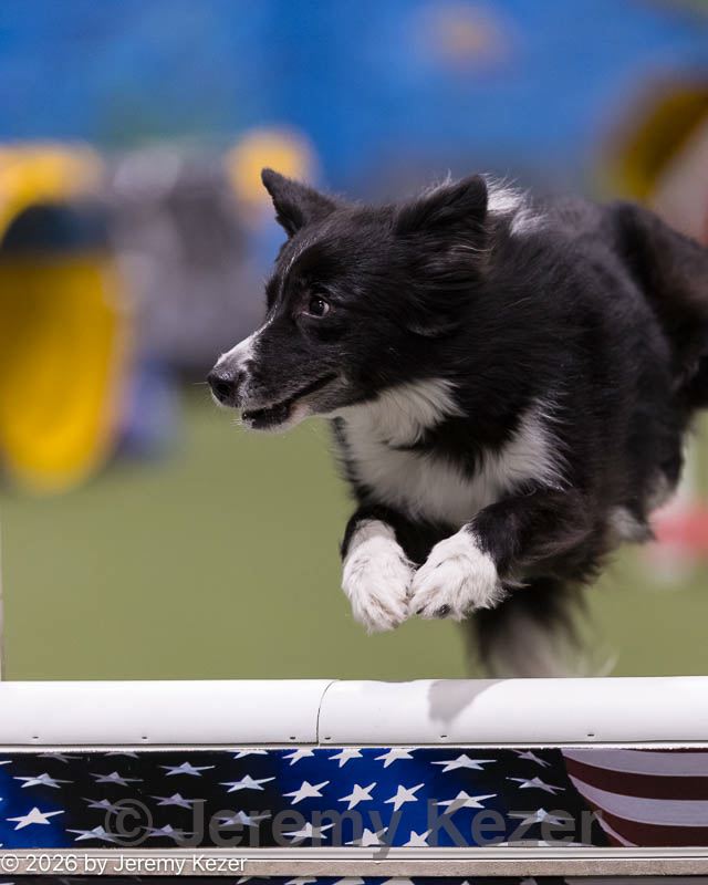 20260221-0110.jpg