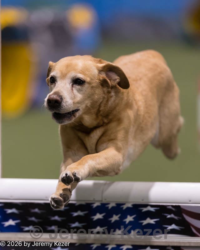 20260221-0113.jpg