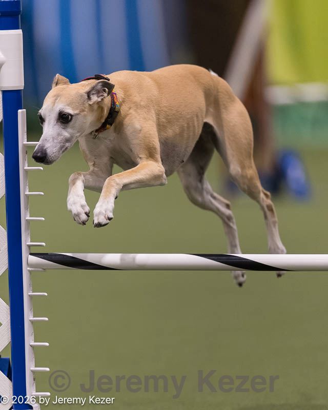 20260221-0118.jpg