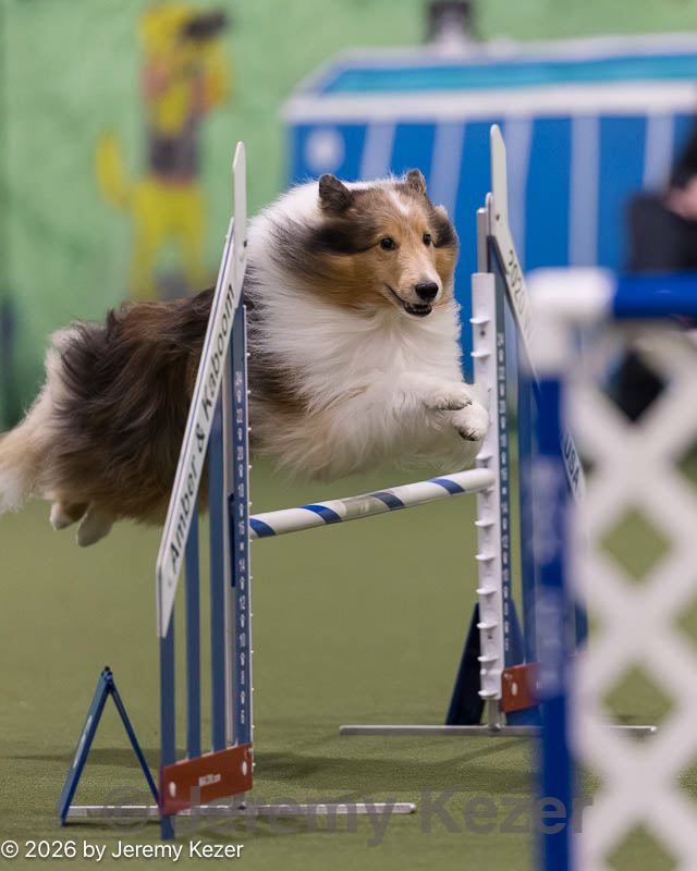 20260221-0135.jpg