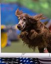 20260221-0163