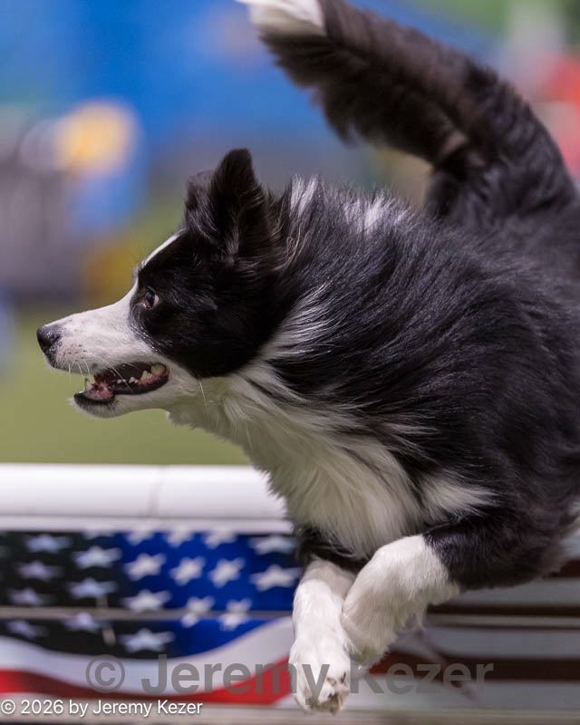 20260221-0146.jpg