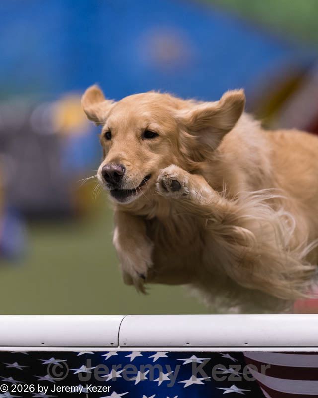 20260221-0156.jpg