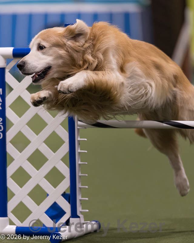 20260221-0170.jpg