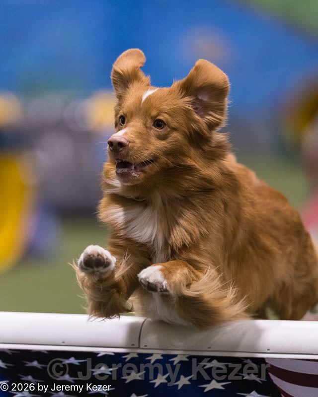 20260221-0191.jpg