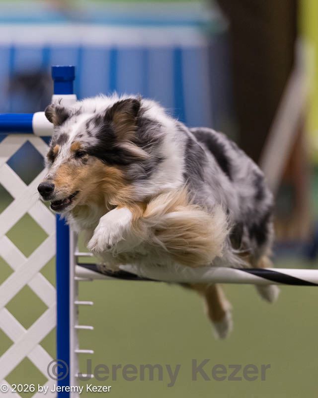 20260221-0194.jpg