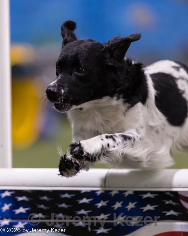 20260221-0198.jpg