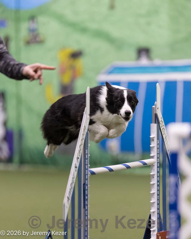 20260221-0199.jpg