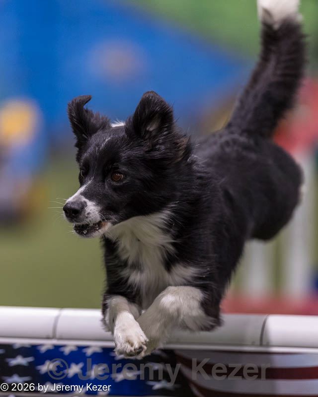 20260221-0212.jpg