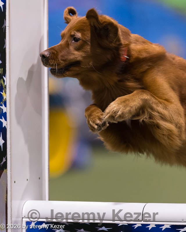 20260221-0233.jpg
