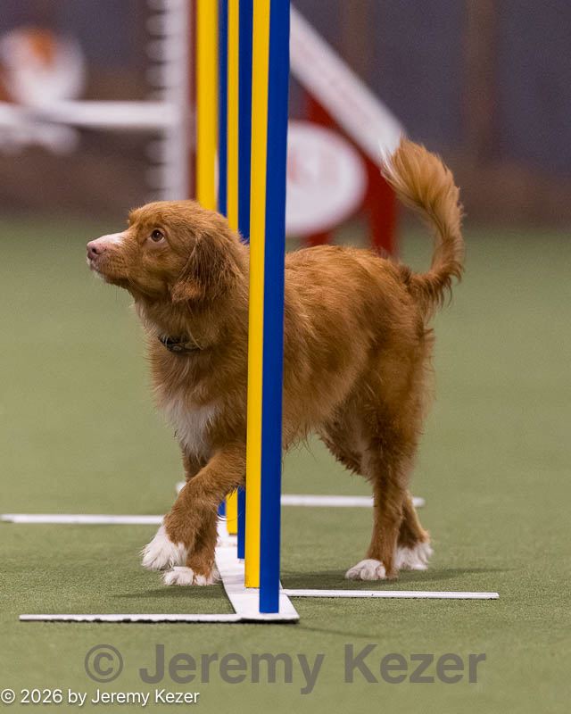 20260221-0267.jpg