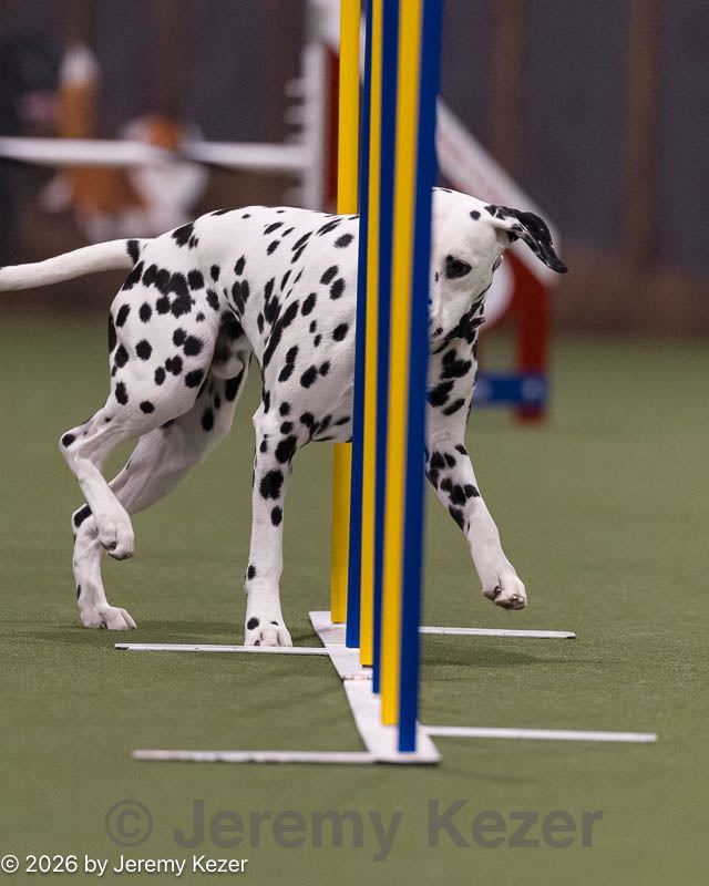20260221-0283.jpg