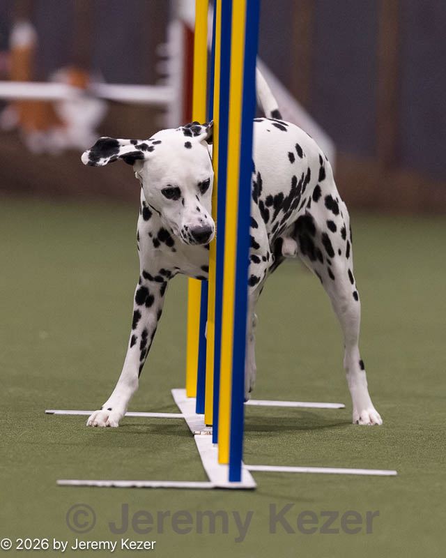 20260221-0284.jpg