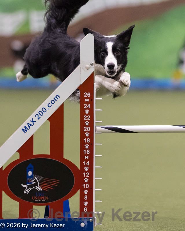 20260221-0312.jpg