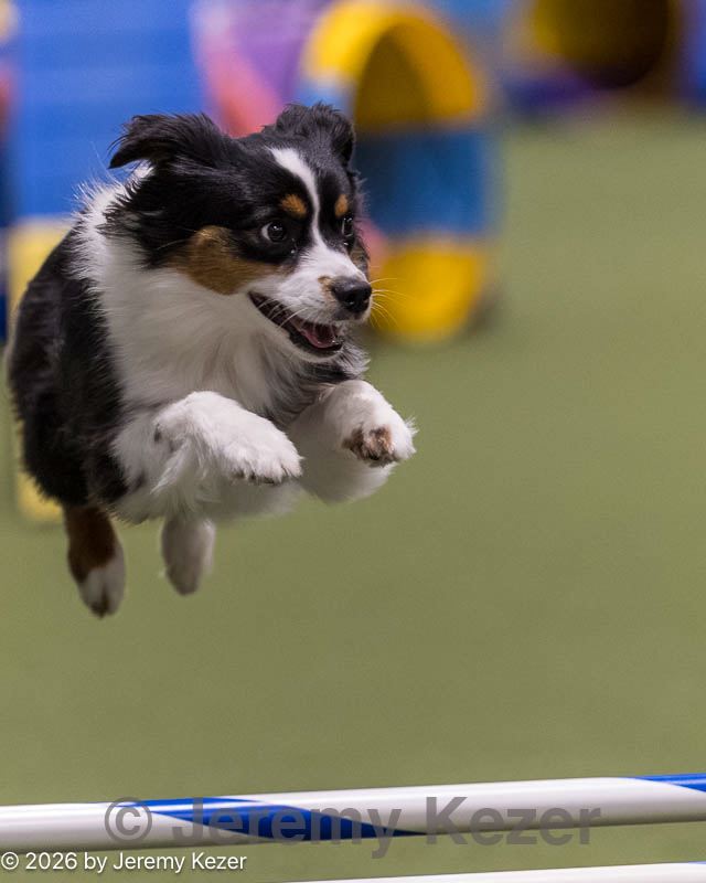 20260221-1070.jpg