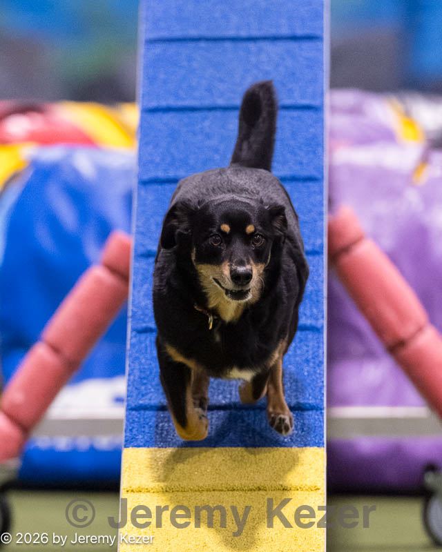 20260221-2026.jpg
