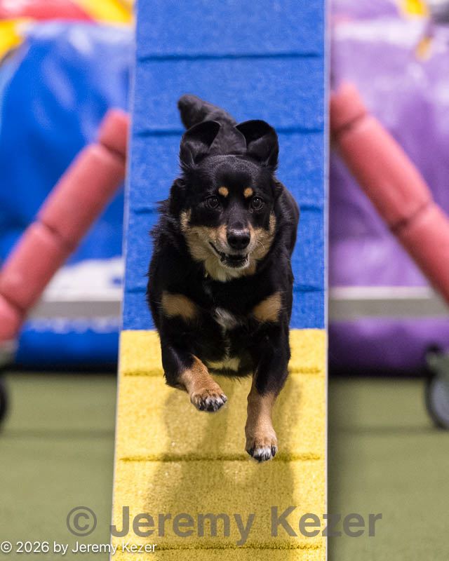 20260221-2028.jpg