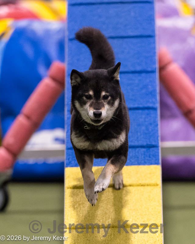 20260221-2105.jpg