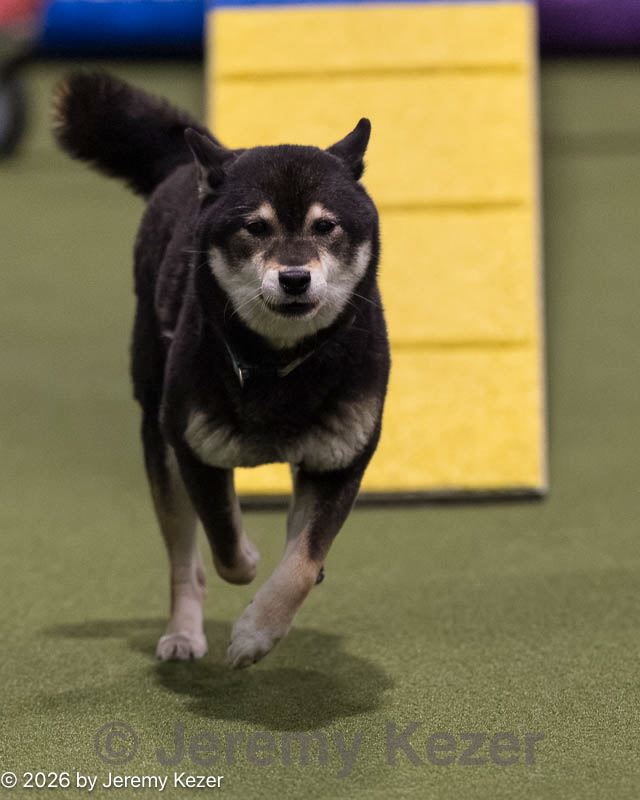 20260221-2106.jpg