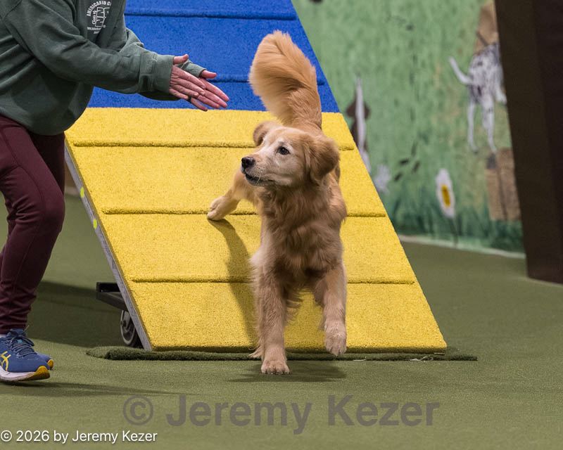 20260221-2176.jpg