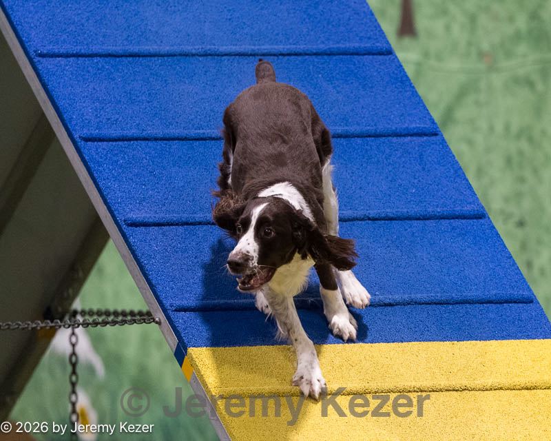 20260221-2193.jpg