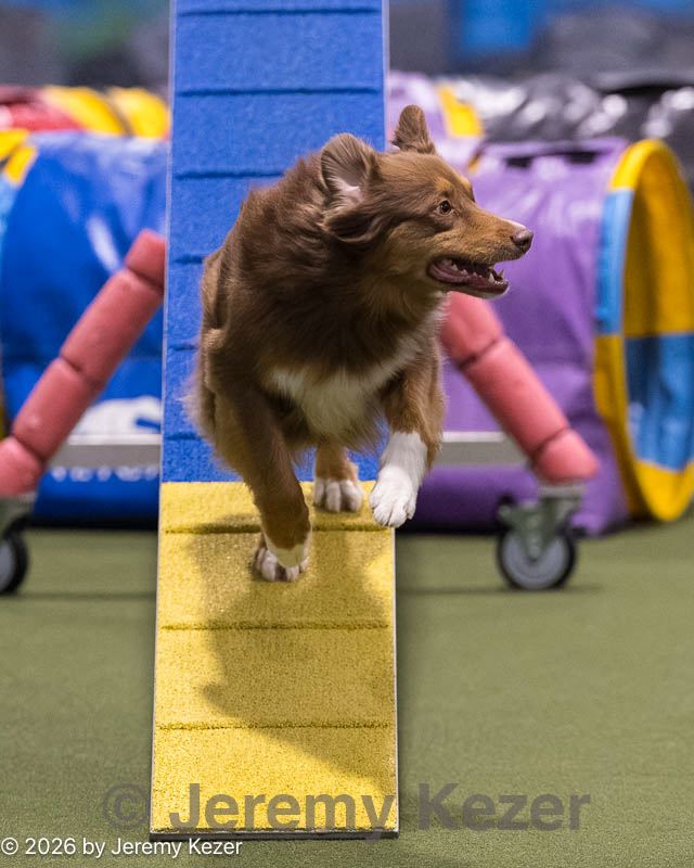 20260221-2255.jpg