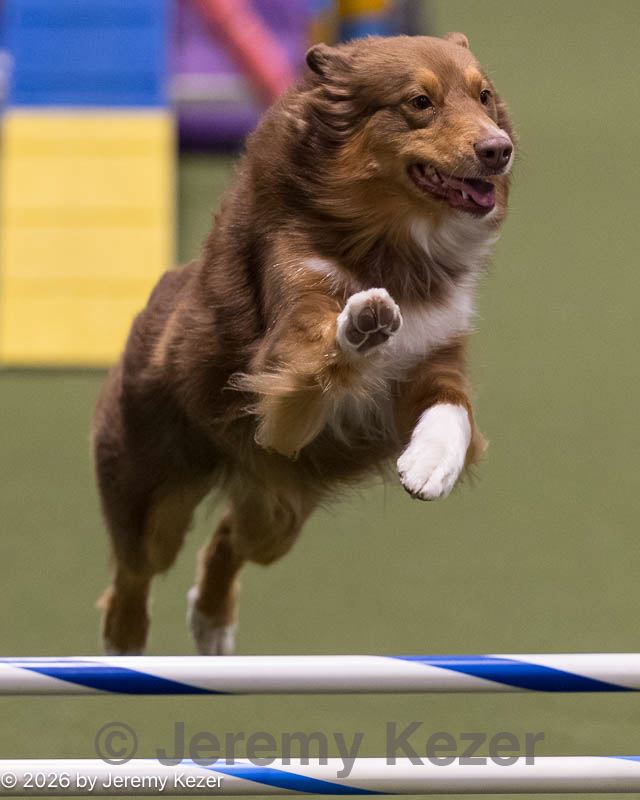 20260221-2256.jpg