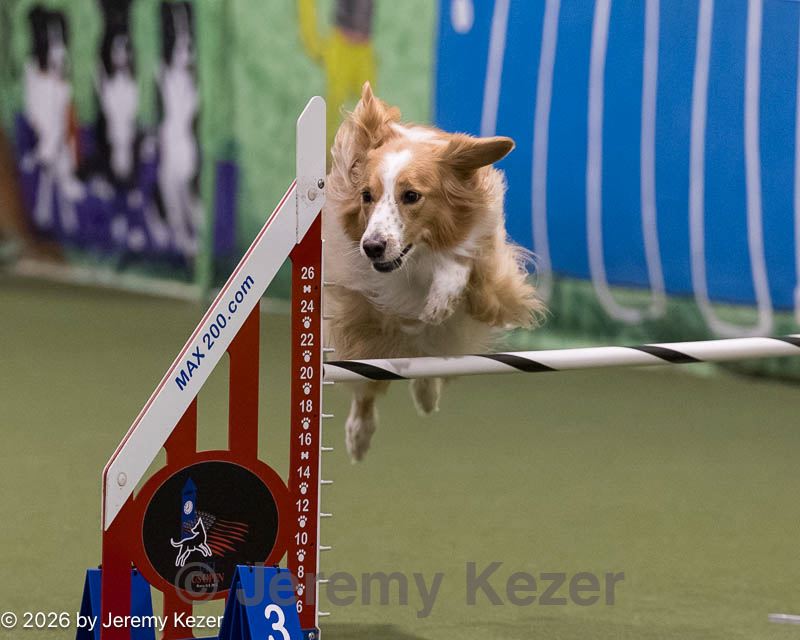 20260221-2314.jpg