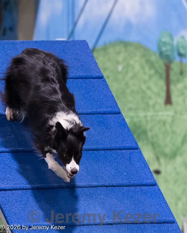 20260221-2370.jpg