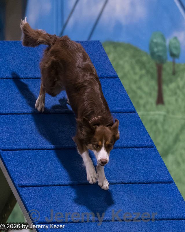 20260221-2401.jpg