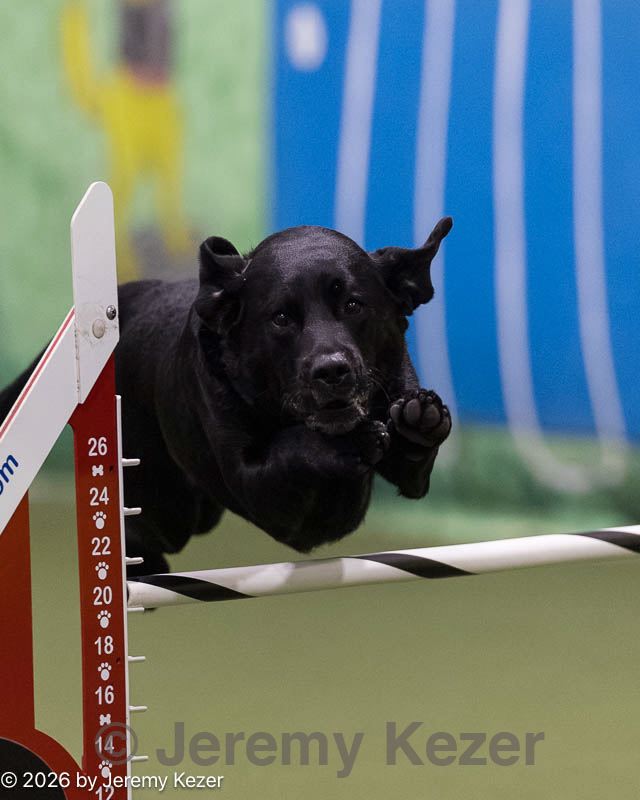 20260221-2414.jpg